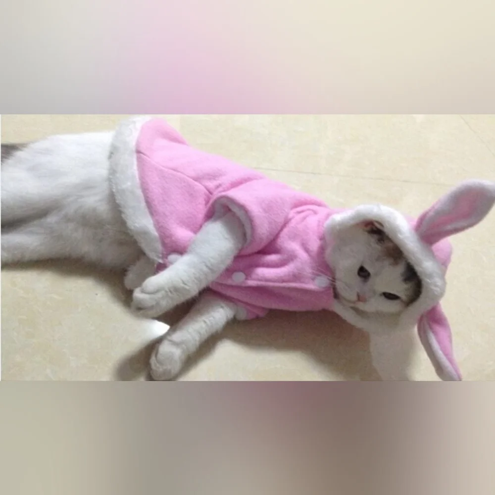 🆕Cute Pink🩷Bunny Ears Pet-Outfit🐰or Costume with Hoodie🐇